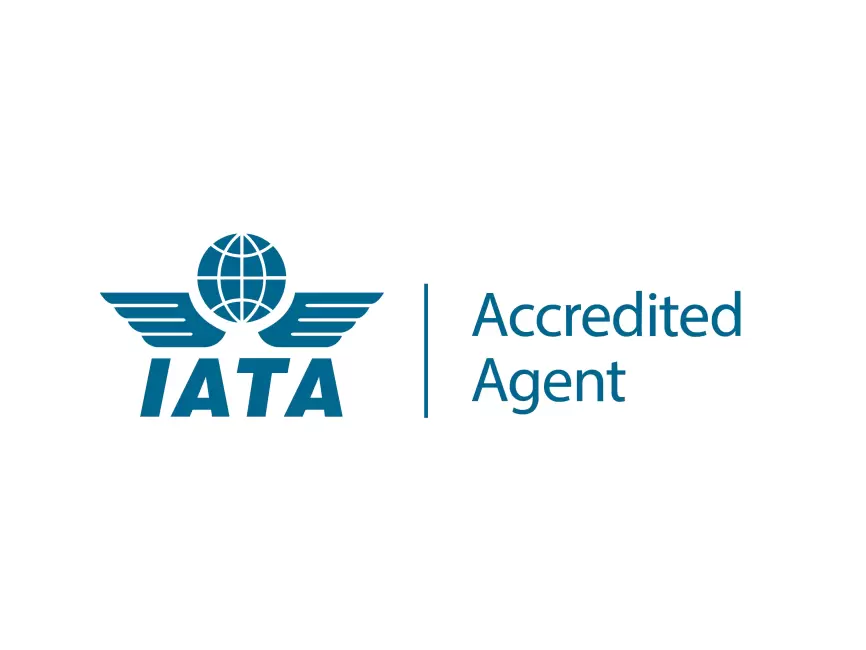 IATA'dan Kabin İçi Evcil Hayvan Seyahati İçin Kapsamlı Yeni Kılavuz