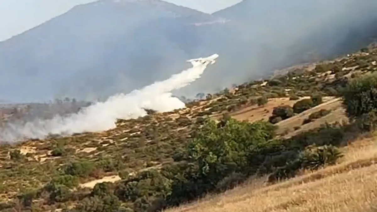 Cezayir'in Be-200ES Amfibi Uçağından Nefes Kesen Alçak Geçiş