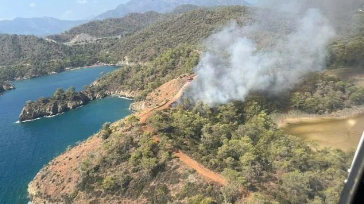 Göcek'teki Orman Yangınına Havadan ve Karadan Yoğun Müdahale