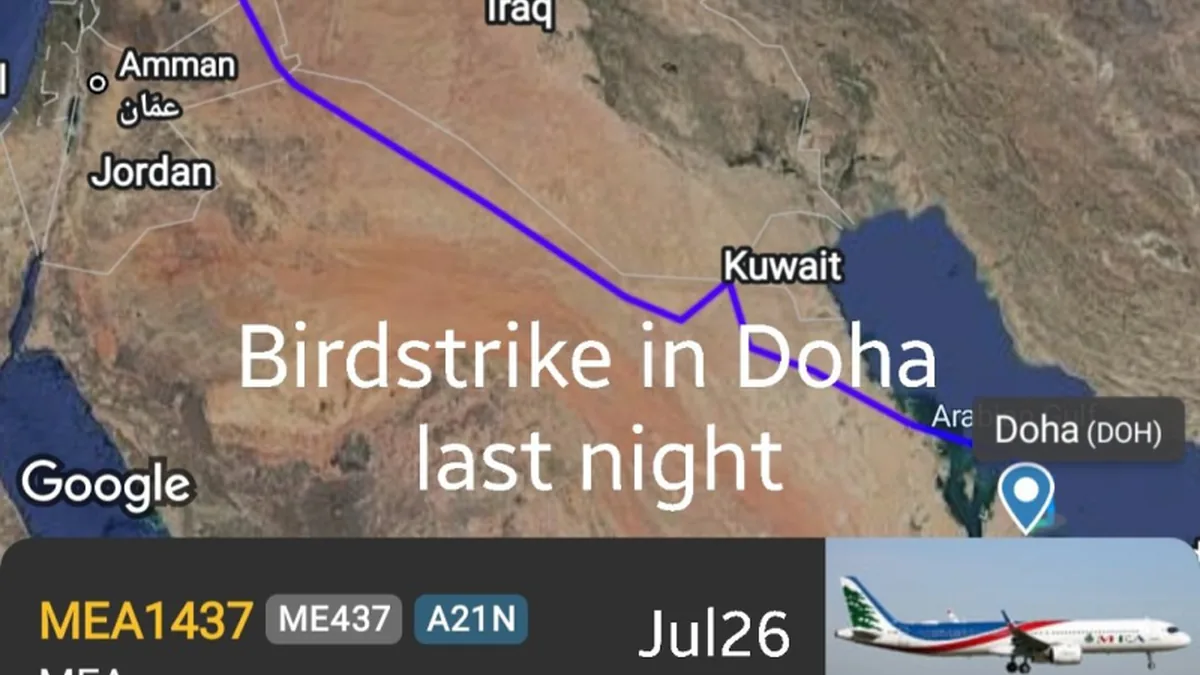 MEA Uçağı Doha'da Kuş Çarpması Sonrası 13 Saat Gecikmeyle Beyrut'a İndi