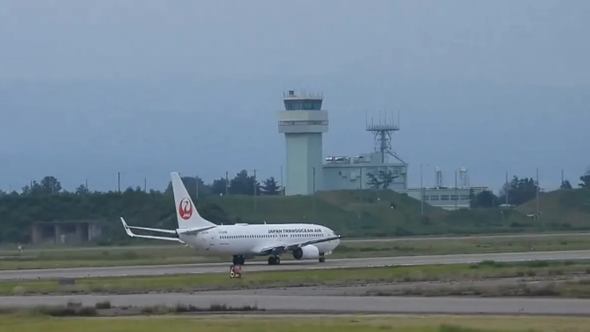 Japan Airlines Boeing 737'ye Kuş Çarptı: Komatsu Seferi İptal