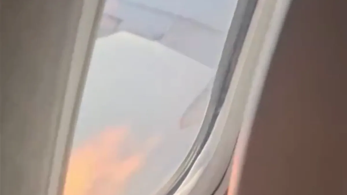 American Airlines Boeing 737 Kuş Çarpması Sonrası Acil İniş Yaptı