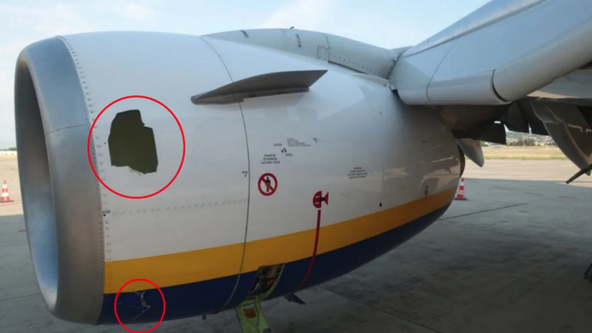 Ryanair 737 Motor Arızasında Kuş Çarpması Şüphesi Güçleniyor