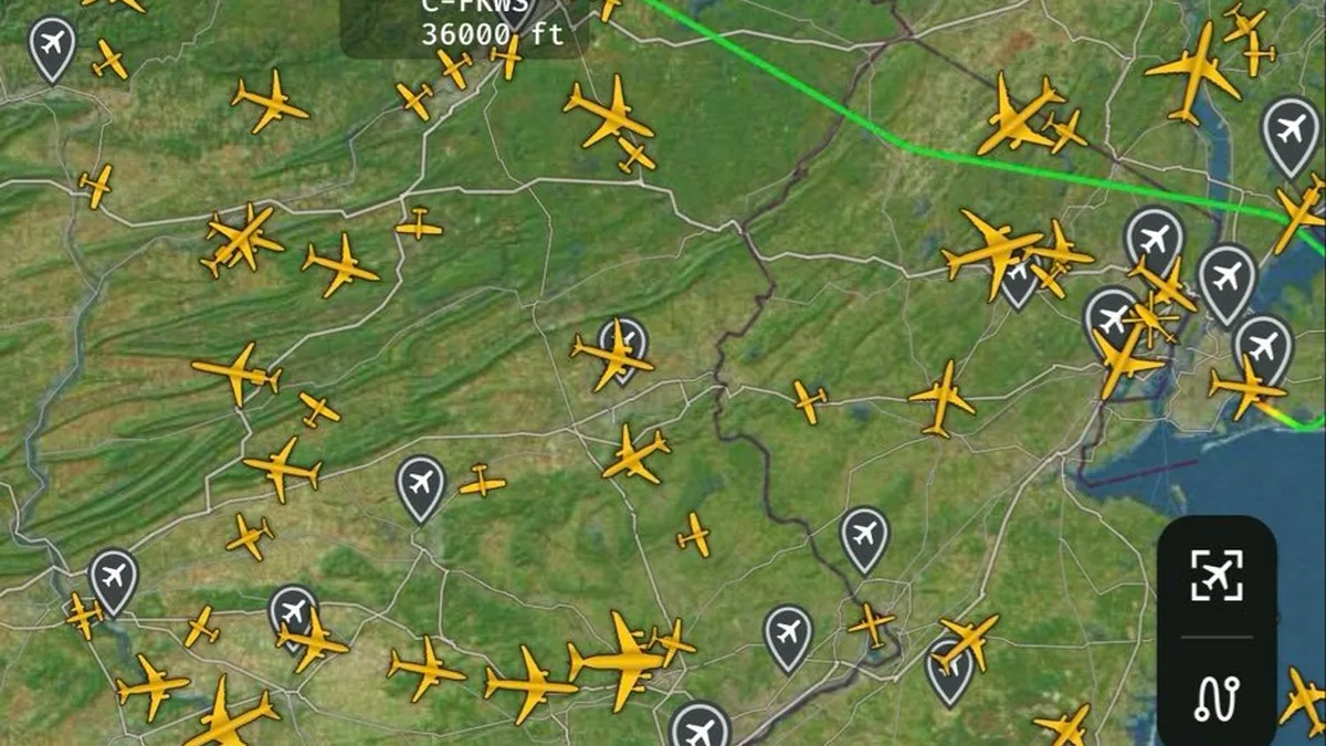 WestJet Uçuşunda Kabin İçinde Kertenkele Paniği Yaşandı