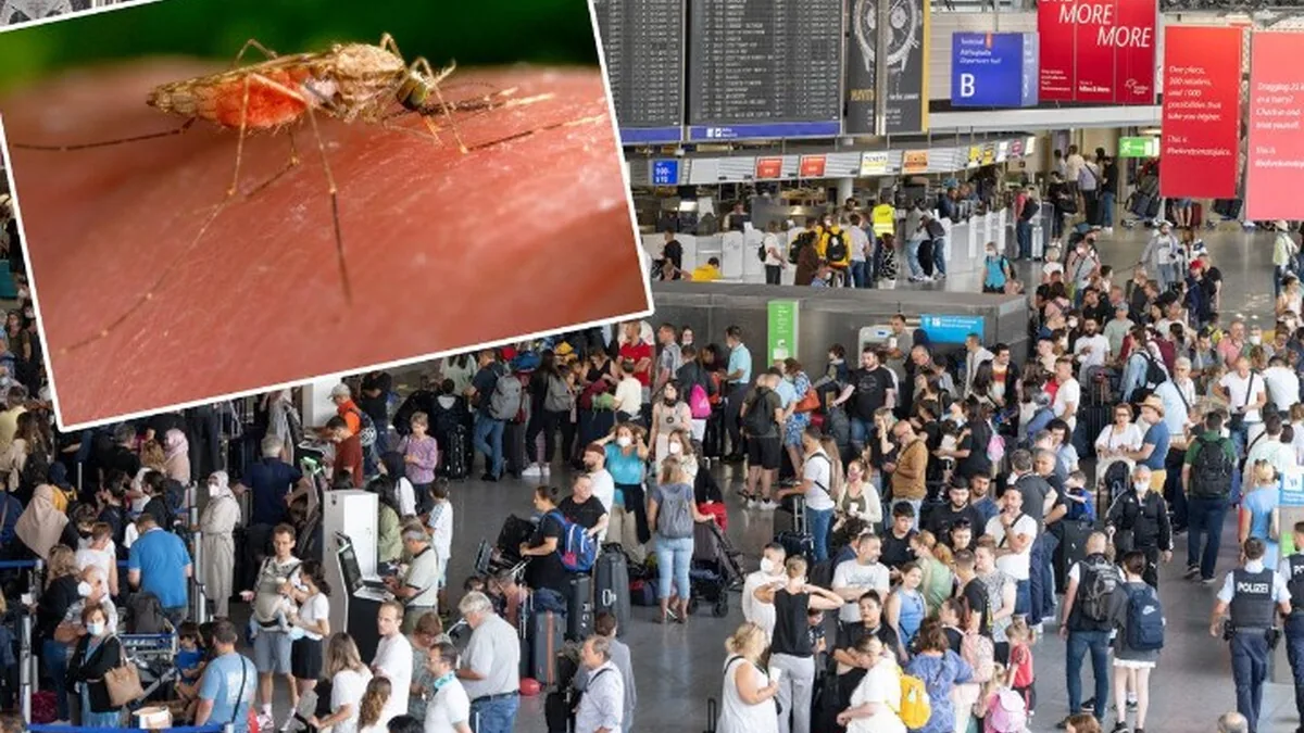 Frankfurt Havalimanı'nda Sıtma Alarmı: İki Çalışan Hayatını Kaybetti