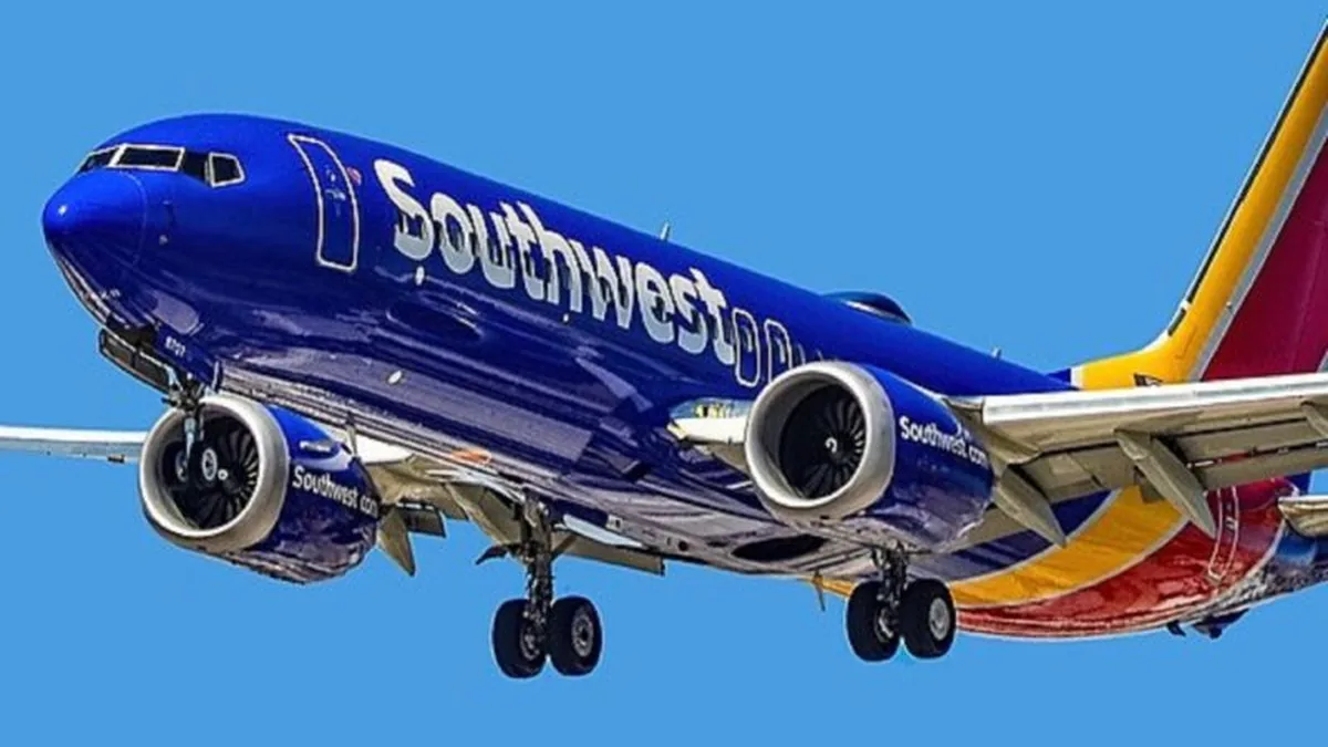 Southwest Airlines'a Kabin Bagajı Davası: 50 Bin Dolar Talep