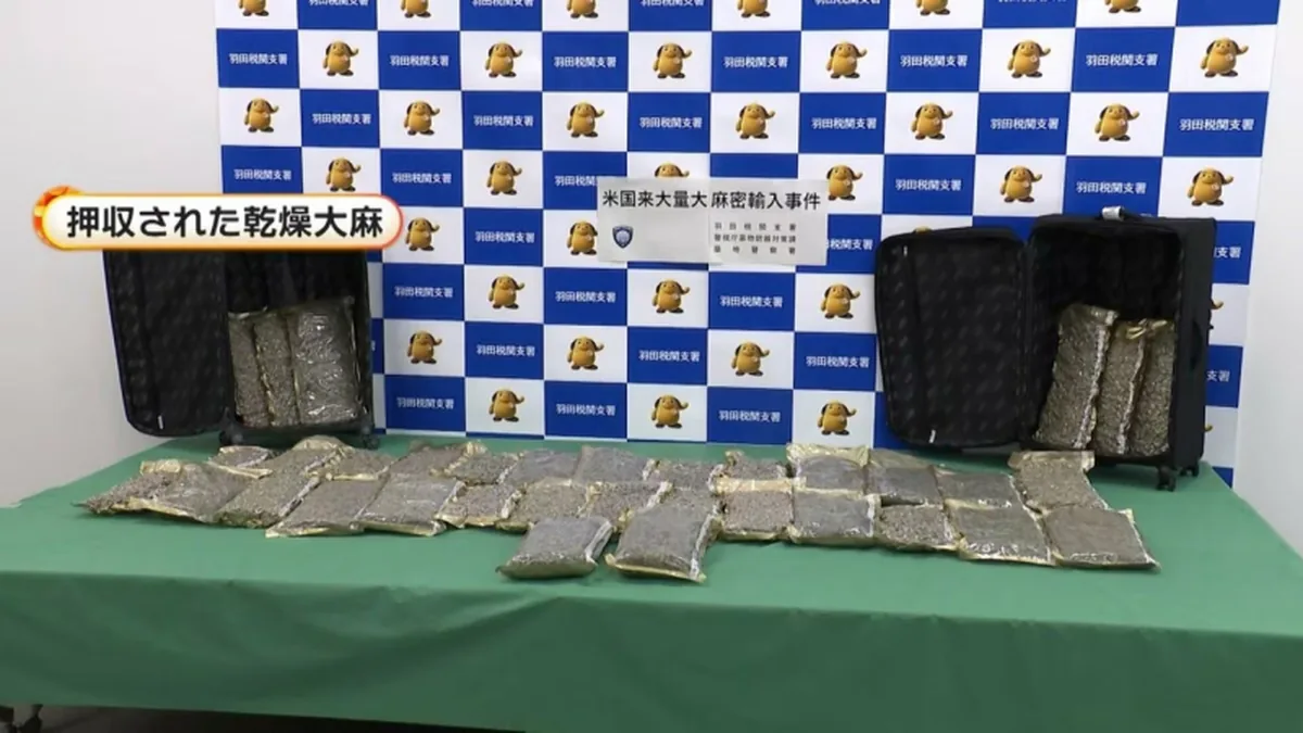 Haneda Havalimanı'nda 30 Kilo Esrar Kaçakçılığı Girişimi Engellendi