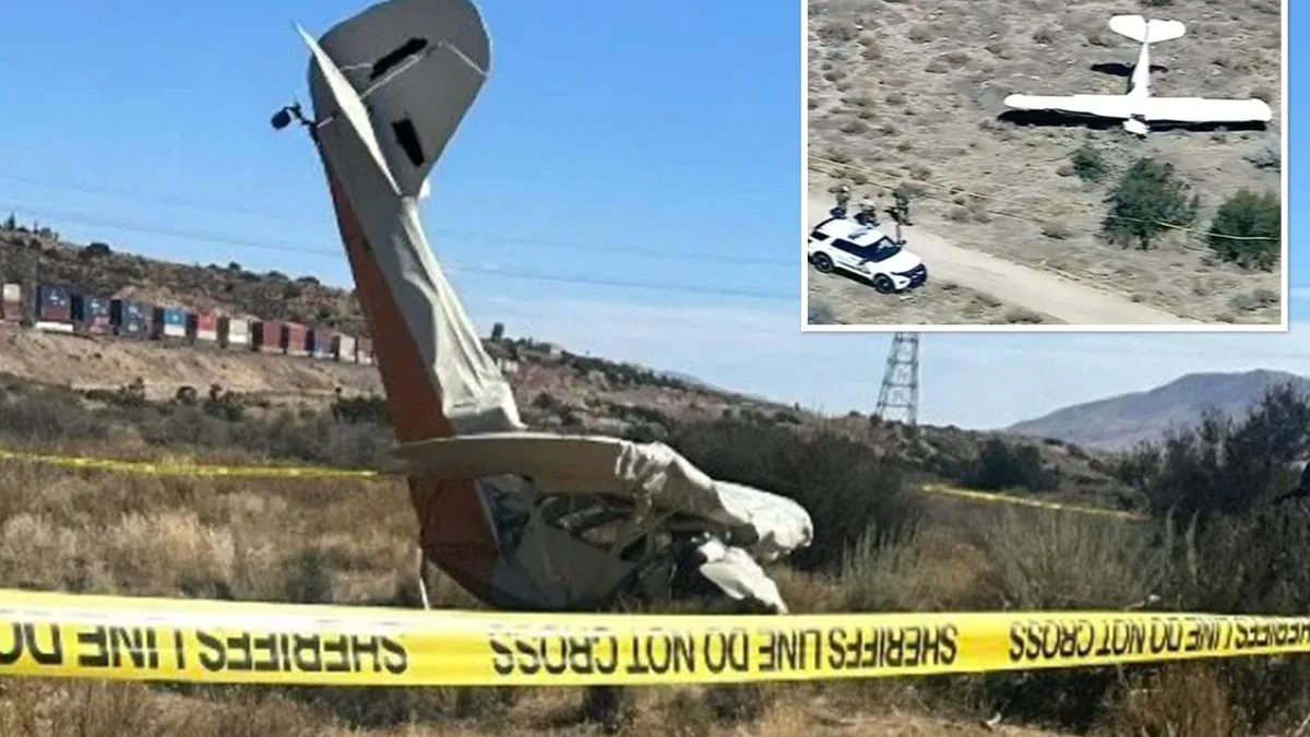 California'da Tek Motorlu Uçak Düştü: İki Can Kaybı