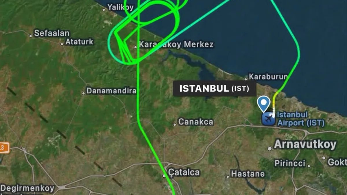 THY'nin İstanbul-Köln Seferinde Kuş Çarpması: Uçak Geri Döndü