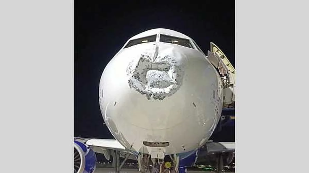 IndiGo Uçağına Havada Yıldırım İsabet Etti: Radom Hasar Gördü