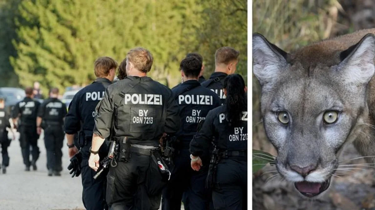 Münih Havalimanı Yakınlarında Puma İddiası, Havadan ve Karadan Arama Başlattı