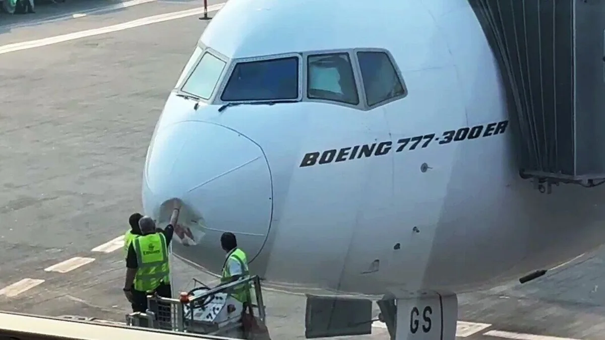 Emirates Uçağı Delhi İnişinde Kuş Çarpmasıyla Hasar Gördü: Sefer Ağı Etkilendi